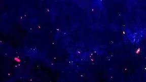 I'm exploding watching lore's ass gape from two huge black cocks dap