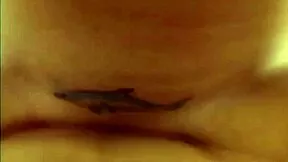 POV Anal Slut Allison Pierce Gets Ripped Clothes Fucked