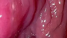 pink hymen clitoris and untouched pussy confirmed up close