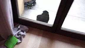 What if I knock on neighbor's door while hubby's gone craving that wet milf action?
