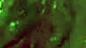 oh man her big natural tits bounce while she moans on that monster cock cumshot incoming