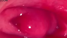 virgin girlfriend shares close-up proof worldwide on new year's with wet pussy reveal