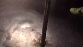 ever seen big ass shaking on train?