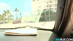 Bree Olson's steamy car session